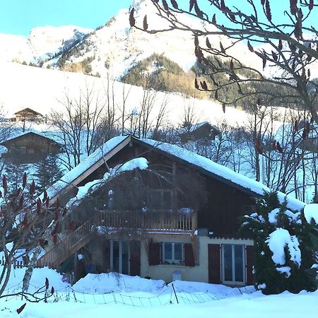Magnifique T3 Entre Lac Et Montagne Pres D'Annecy Montmin Exterior foto
